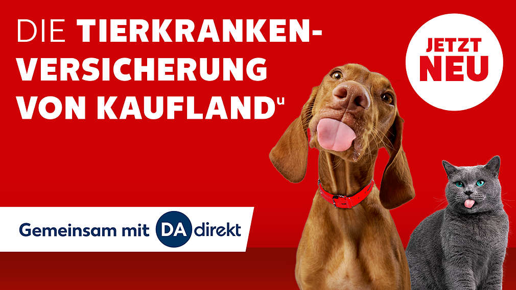 Hund und Katze; Schriftzug: Die Tierkrankenversicherung von Kaufland, Gemeinsam mit DA direkt; Störer: Jetzt neu
