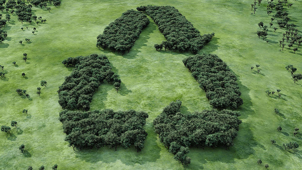 Mehrere Bäume bilden das Recycling-Logo
