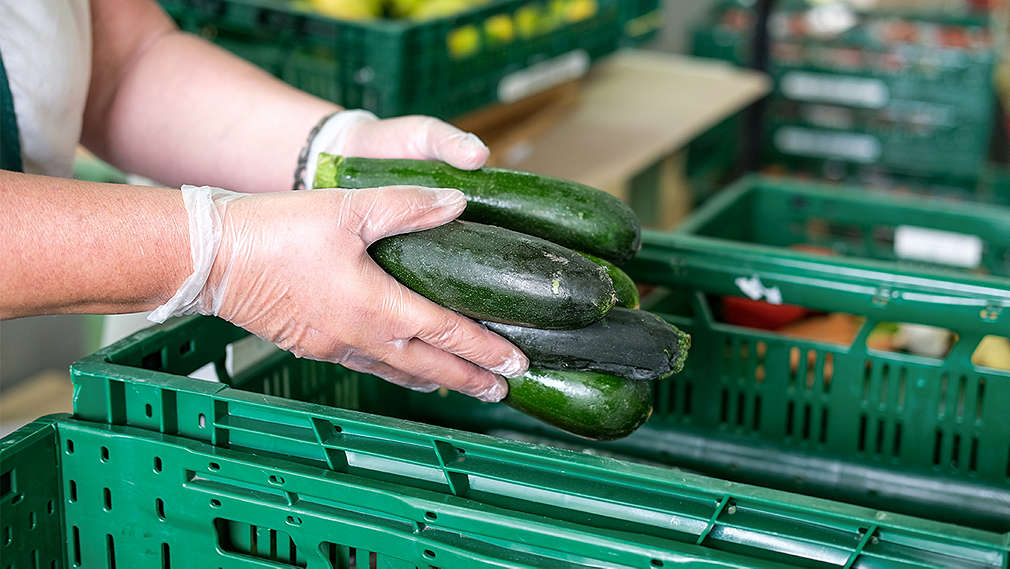 Person packt übriggebliebene Zucchini in eine grüne Kiste