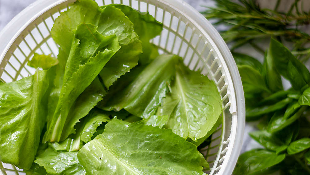 Frisch gewaschene Salatblätter liegen in einer Salatschleuder