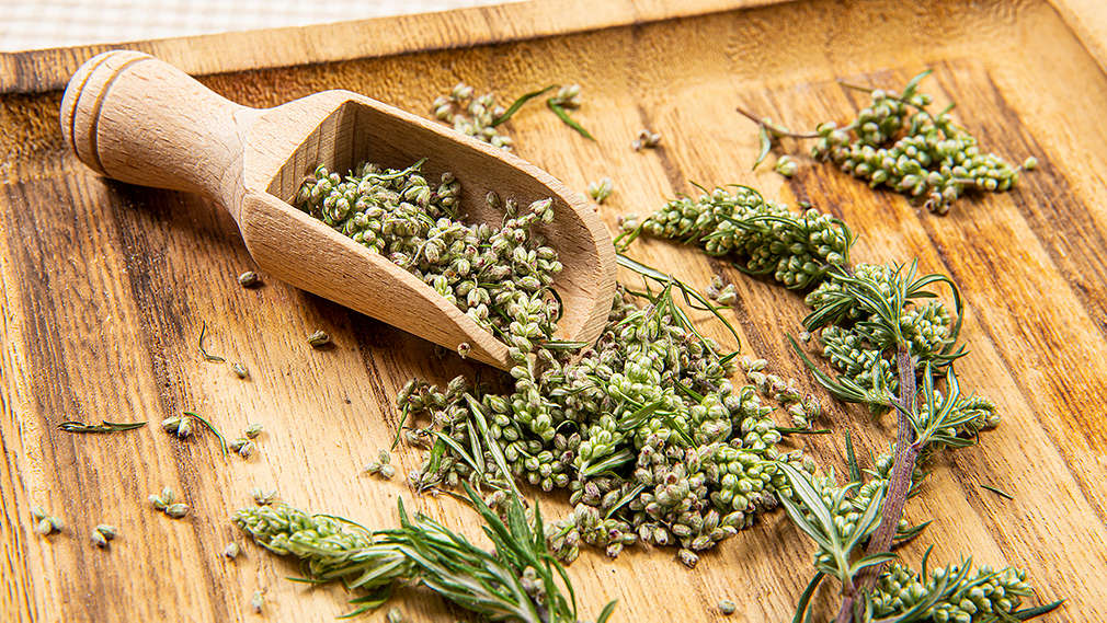 Frischer Beifuß auf einem Holzbrett