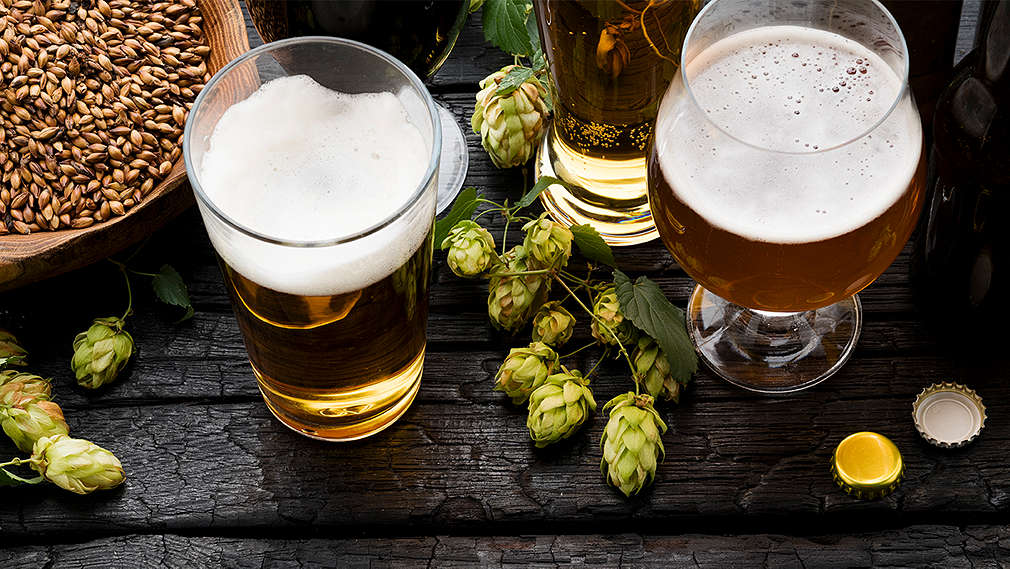 Mehrere Gläser Bier stehen auf einem Tisch, daneben frischer Hopfen, Gerste und Bierflaschenverschlüsse