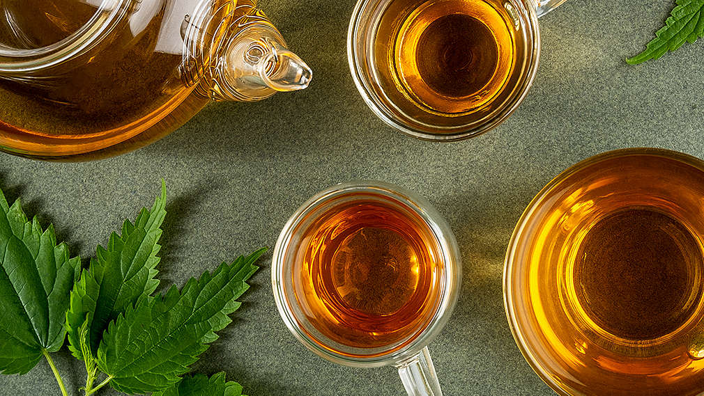 Mehrere Tassen mit Brennnesseltee stehen auf einem Tisch,  daneben ein paar Brennnesselblätter, fotografiert von oben