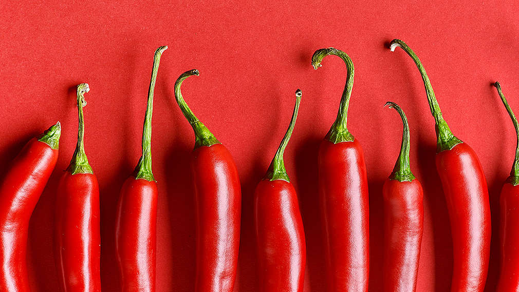 Mehrere Chilischoten auf rotem Hintergrund nebeneinander gereiht