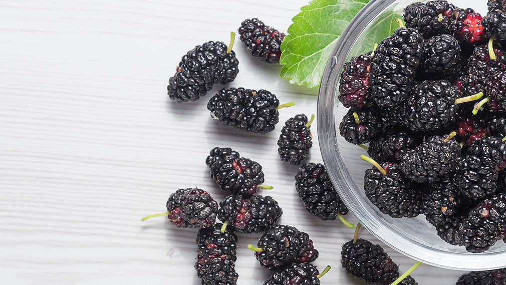 Zu sehen ist eine Glasschale mit frischen Maulbeeren auf einem weißen Untergrund