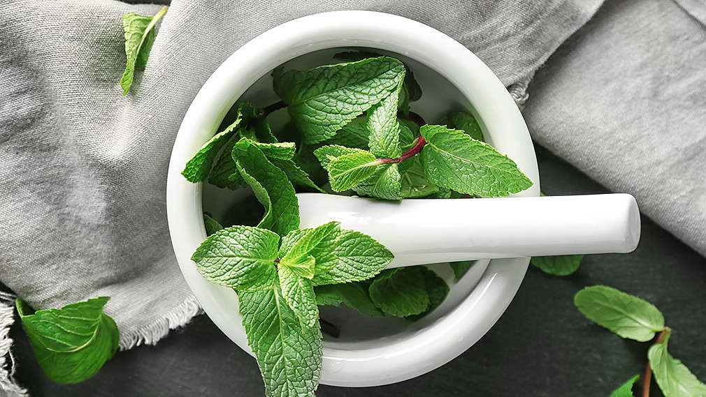 Frische Melissenzweige in einem Mörser, daneben liegt ein graues Küchentuch