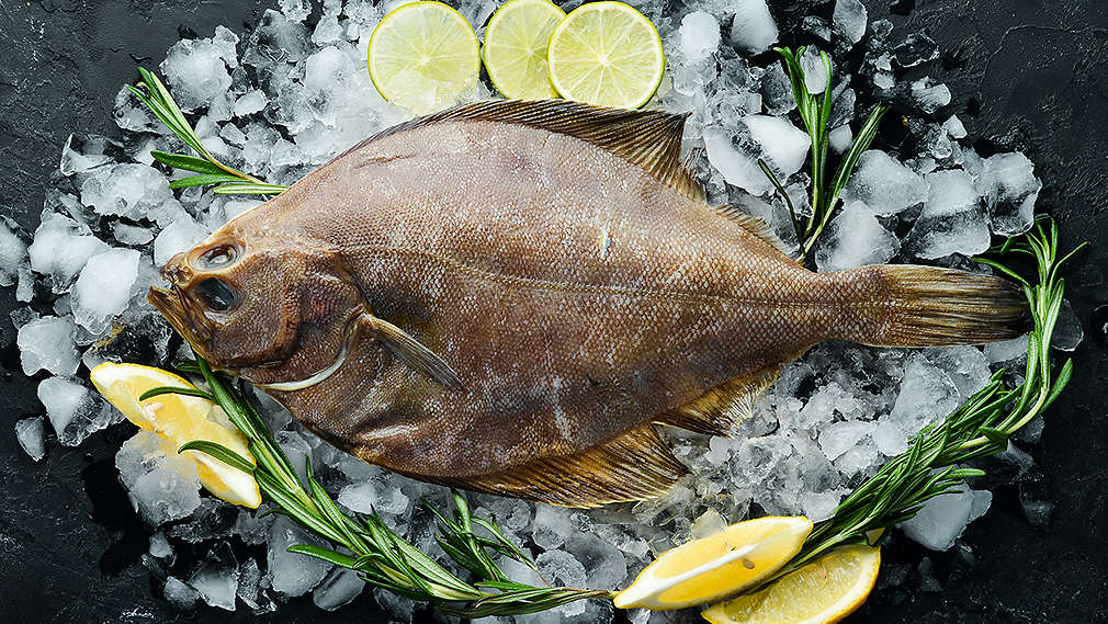 Eine Scholle auf Eis, garniert mit Zitronen und Kräutern