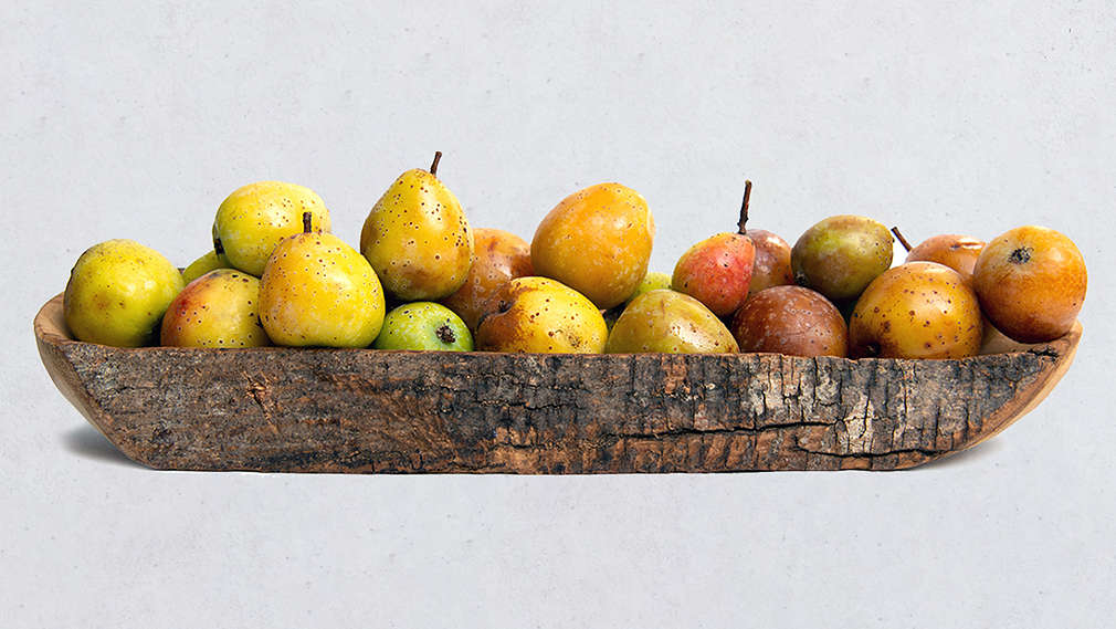 Eine Schale mit Speierlingen auf einem hellgrauen Hintergrund