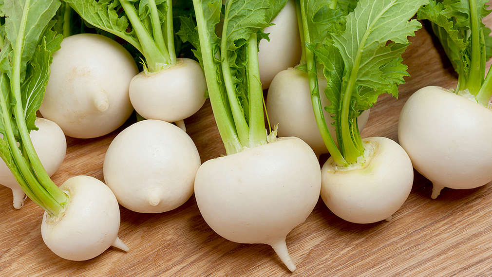 Abbildung von Weißen Rüben