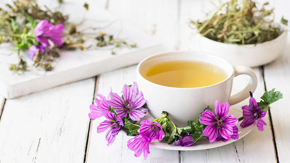 Eine Tasse Tee aus Wilder Malve, daneben frische Malvenbluten