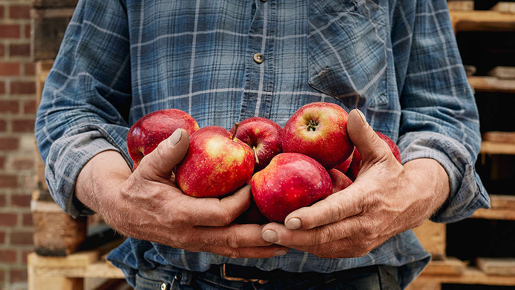 Bauer mit Bio-Äpfeln