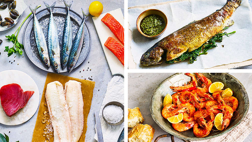 Ryby a morské plody