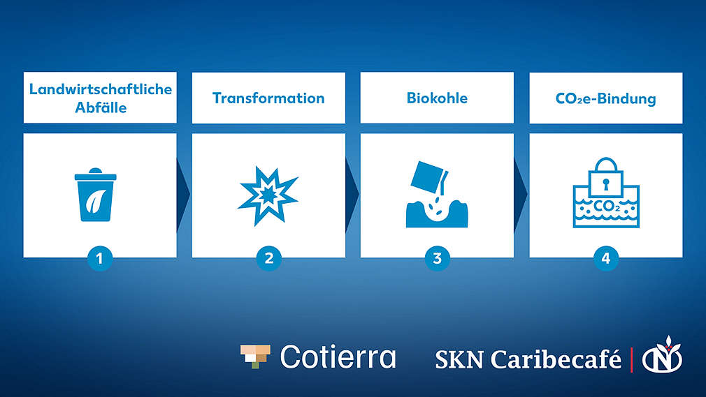 Der Kreislauf mit vier Schritten zur Integration von Biokohle im Kaffeeanbau