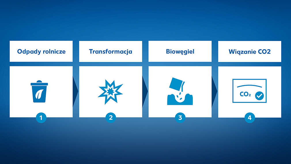 Czteroetapowy cykl integracji biowęgla w uprawie kawy