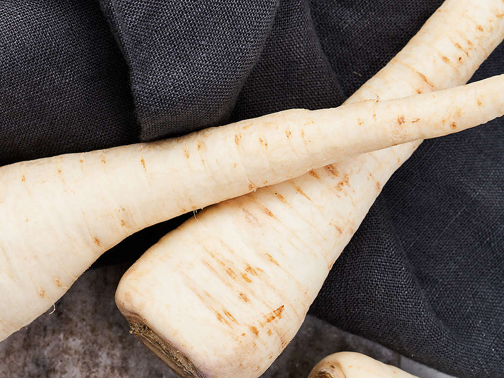 Frische Petersilienwurzel in der Detailansicht