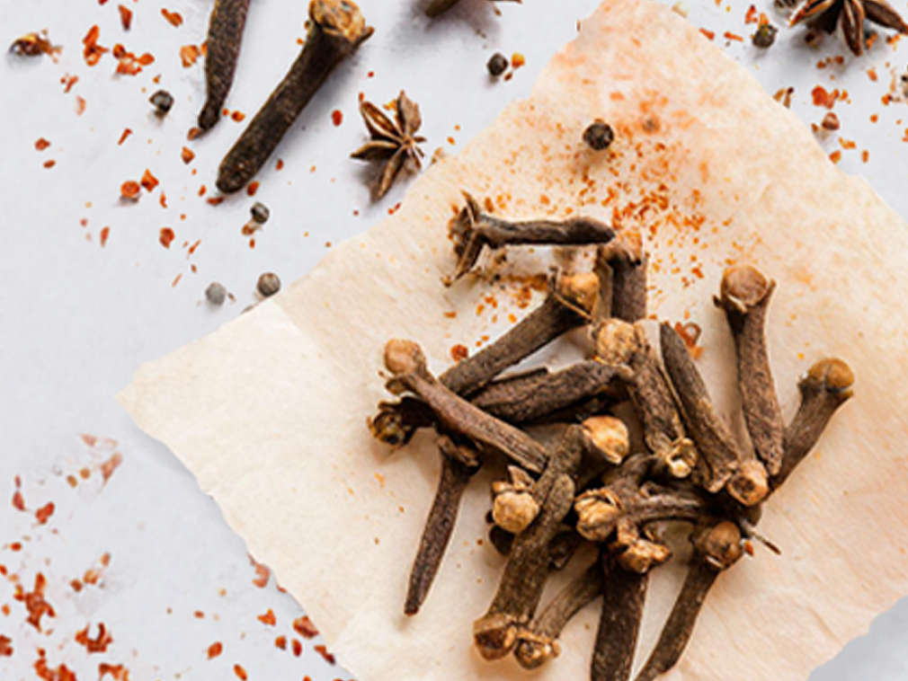 Goździki w ujęciu szczegółowym