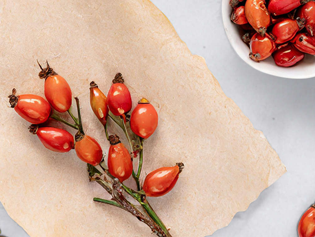 Owoce dzikiej róży w ujęciu szczegółowym