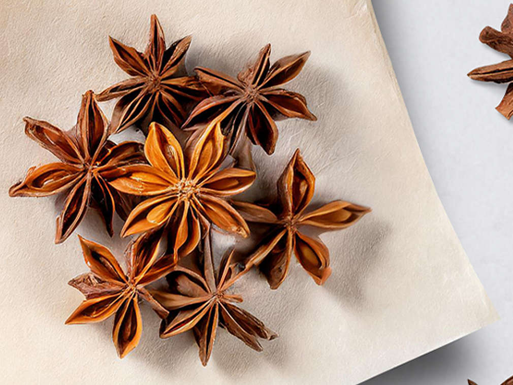 Anyż gwiaździsty w ujęciu szczegółowym