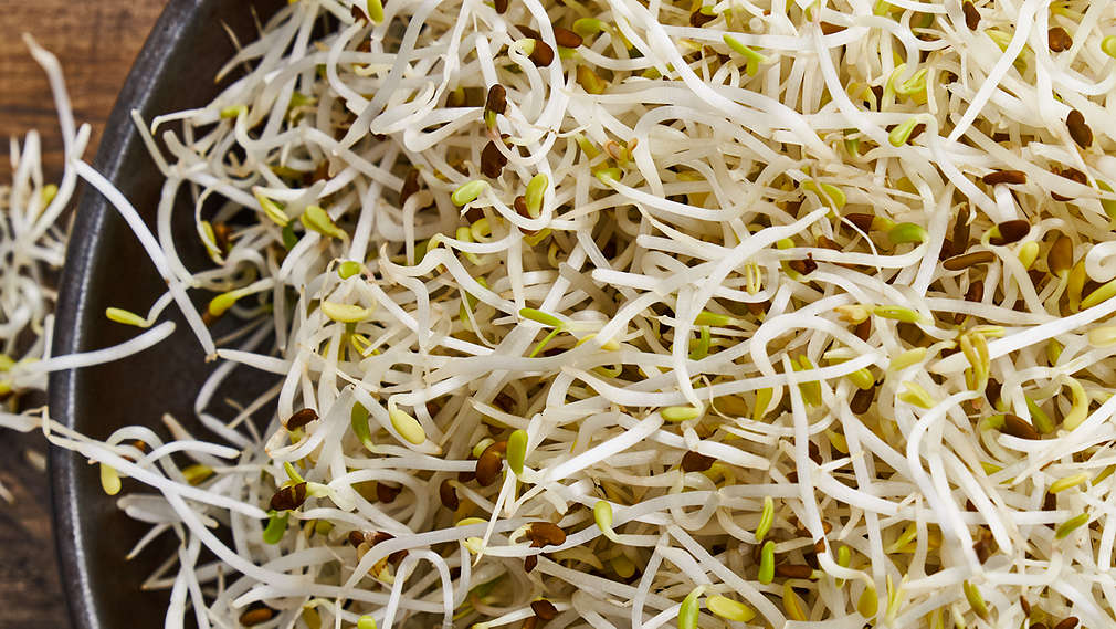 Obrázok alfalfa klíčkov