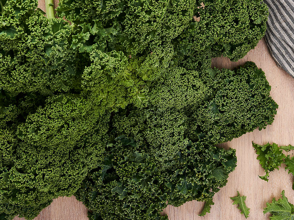 Frischer Grünkohl in der Detailansicht