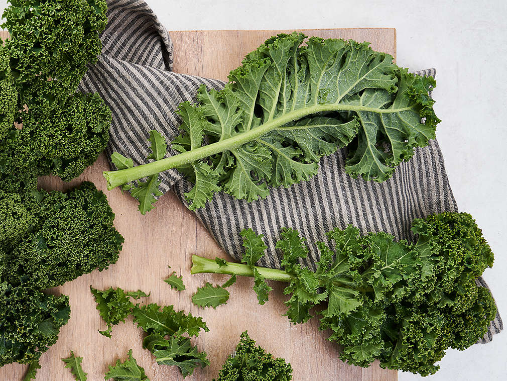 Frischer Grünkohl in der Detailansicht