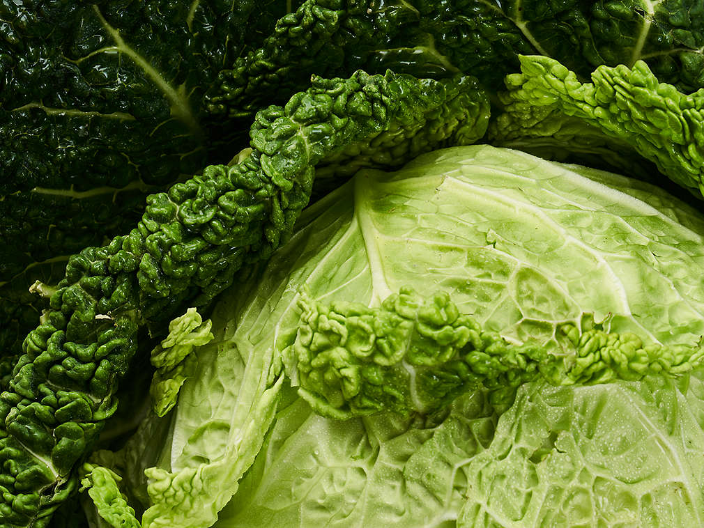 Frischer Wirsing in der Detailansicht