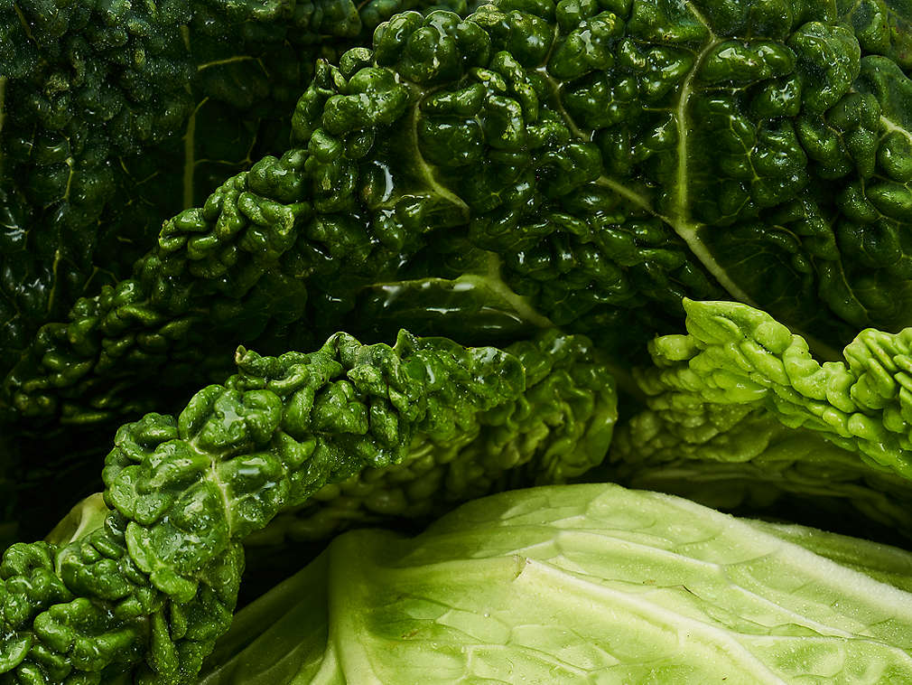 Свежая савойская капуста, подробный вид