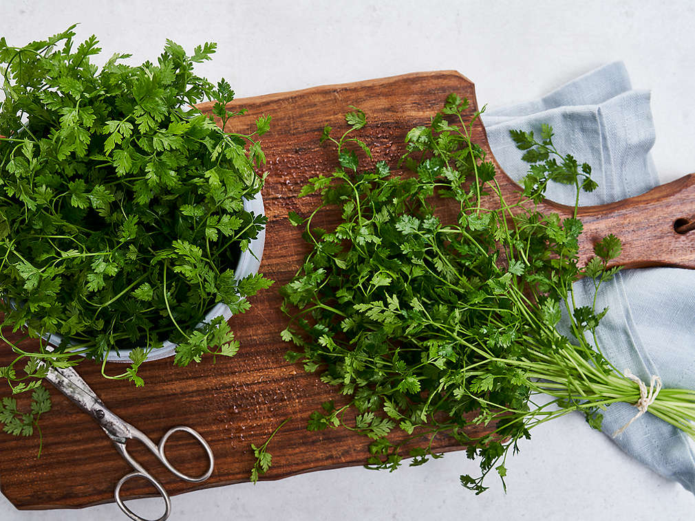 Asmățui proaspăt în detaliu