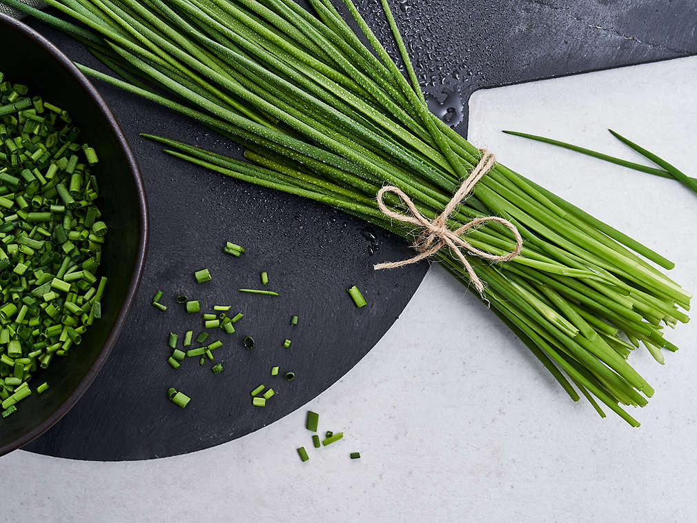 Свежий лук-резанец, подробный вид