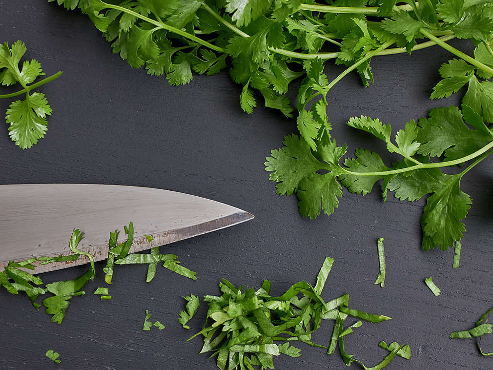 Coriandru proaspăt în detaliu