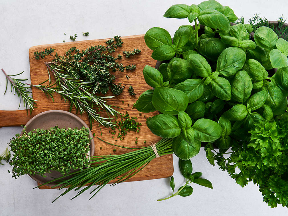 Свежие травы на деревянной доске