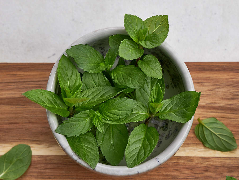 Mentă proaspătă în detaliu