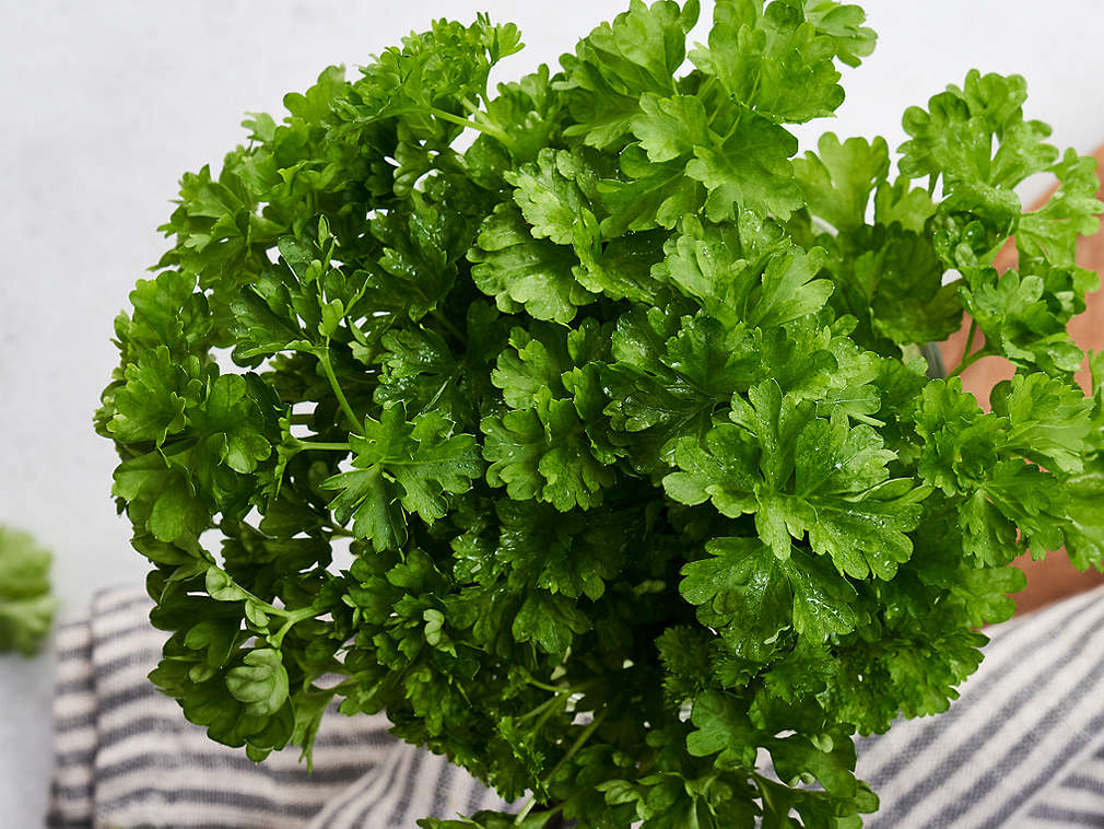 Свежая петрушка, подробный вид