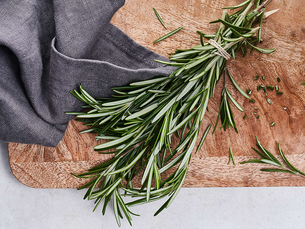 Čerstvý rozmarýn v detailním pohledu