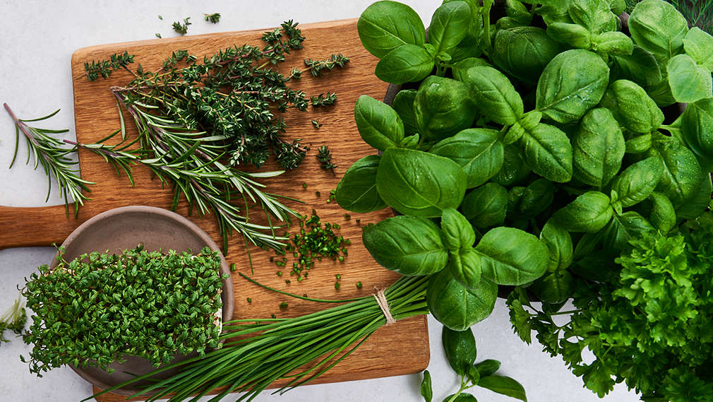 Abbildung von Kräutern und Gewürzen