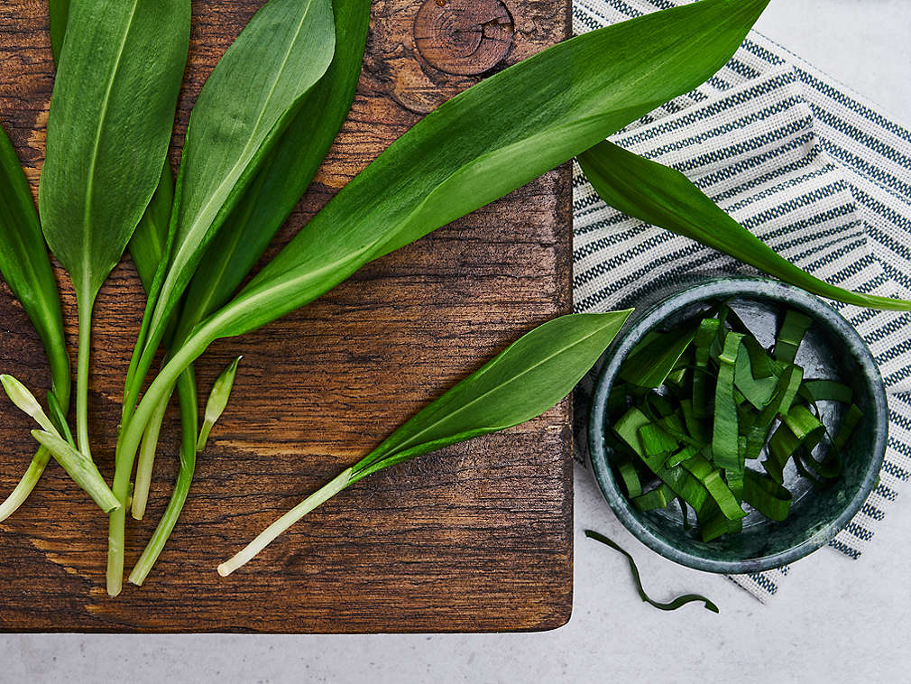 Frischer Bärlauch in der Detailansicht