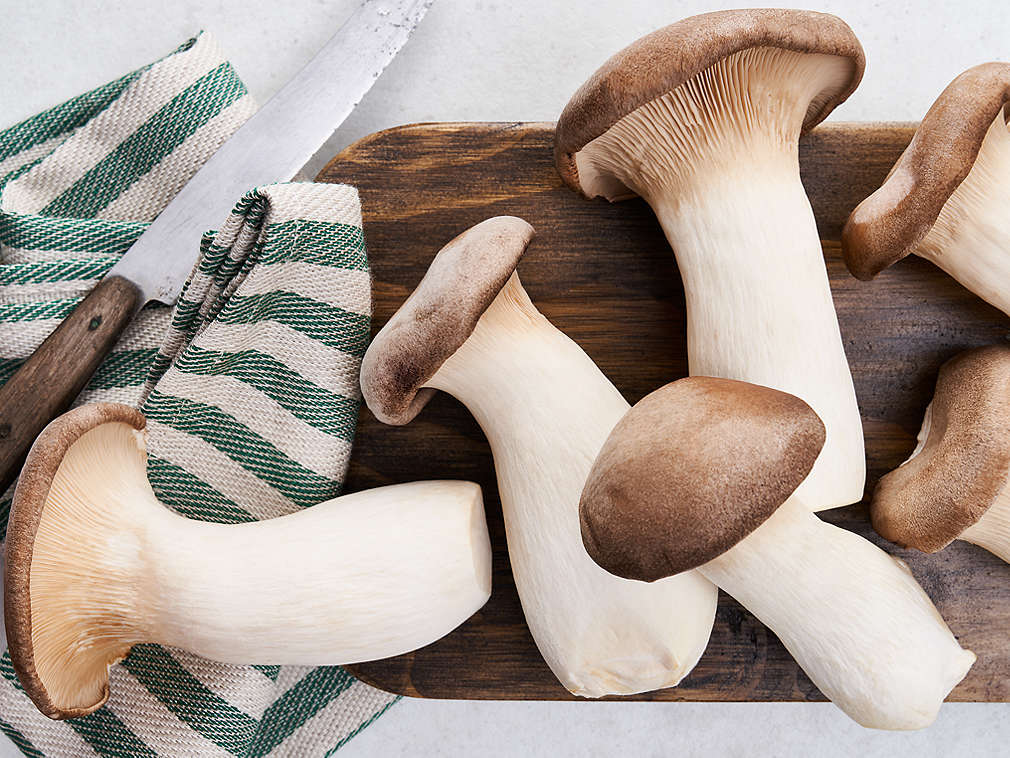 Świeże boczniaki królewskie – szczegółowe informacje