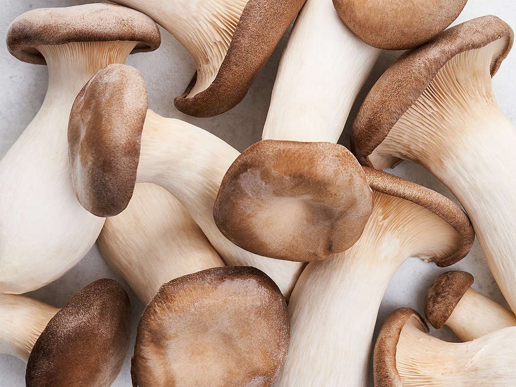 Świeże boczniaki królewskie – szczegółowe informacje