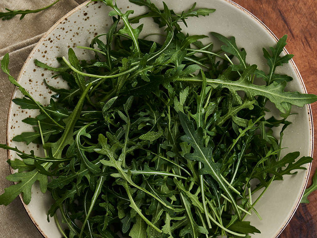 Rucola