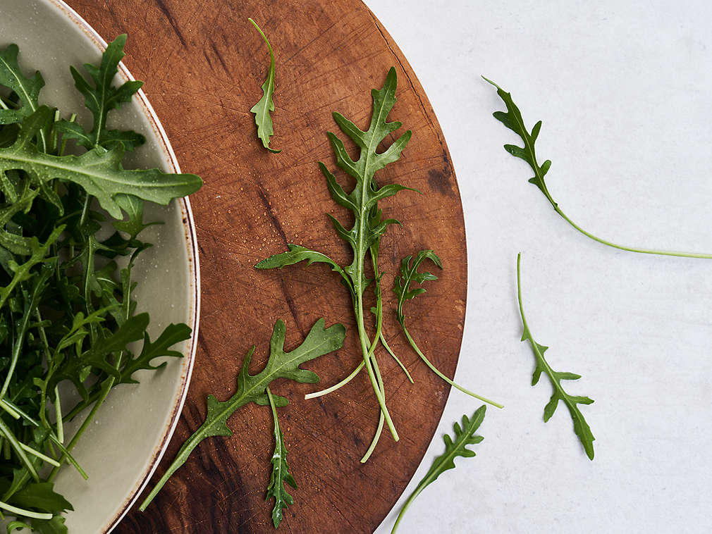 Свежая руккола, подробный вид