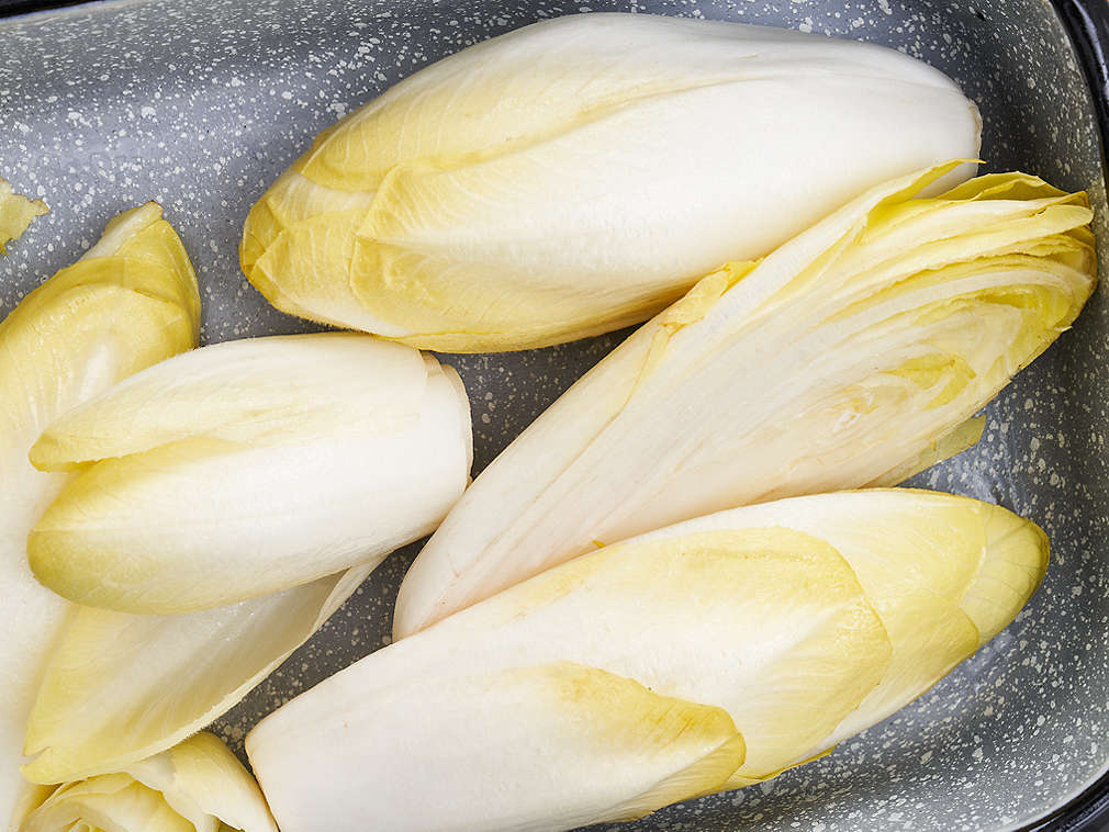 Свежий цикорий, подробный вид