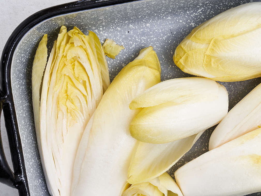 Свежий цикорий, подробный вид