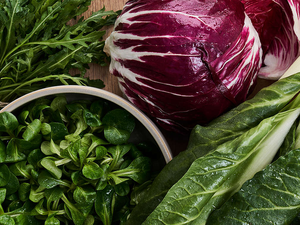 Свежий листовой салат, подробный вид