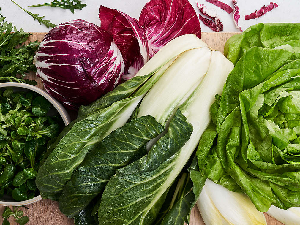 Свежий листовой салат, подробный вид