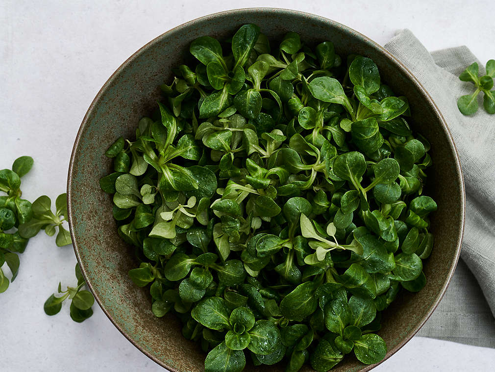 Fetică proaspătă în detaliu