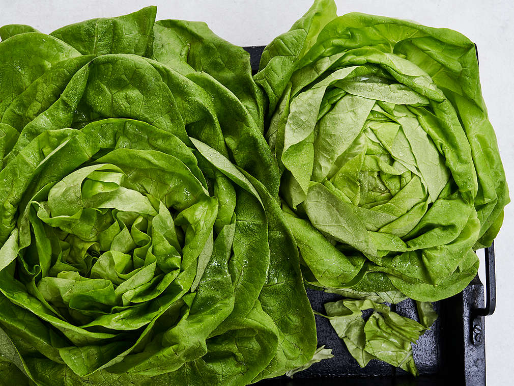 Świeża sałata głowiasta – szczegółowe informacje