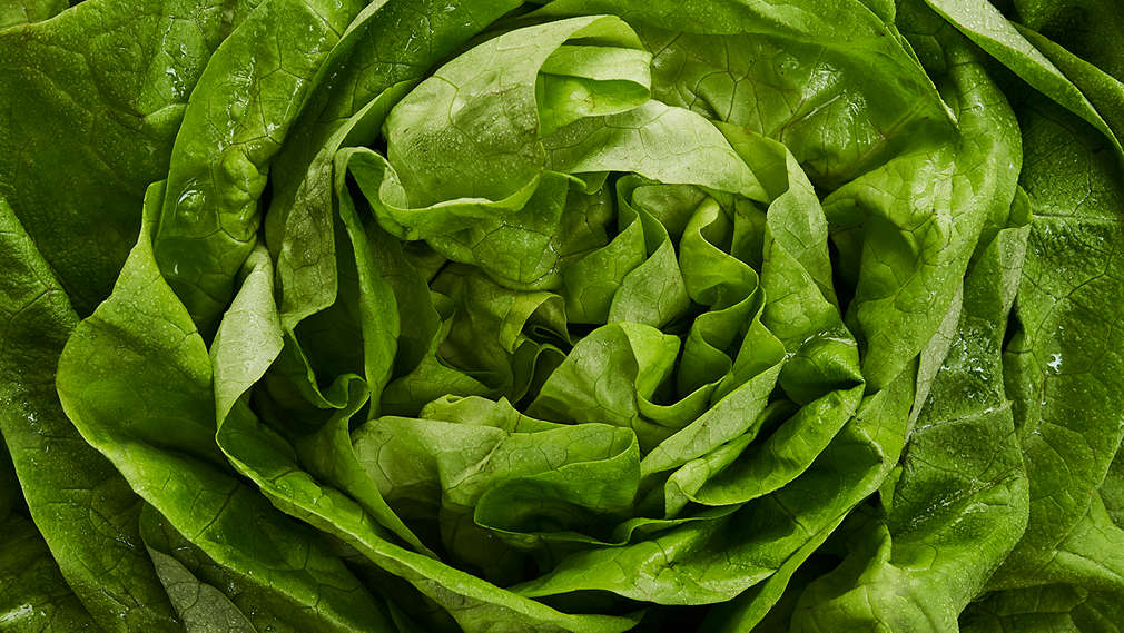 Imagine cu salată verde