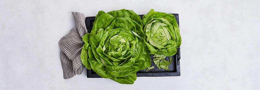 Imagine cu salată verde proaspătă