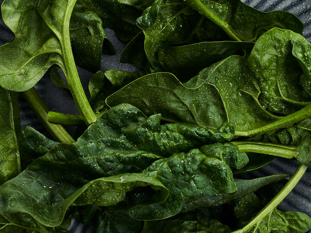 Свежий шпинат, подробный вид