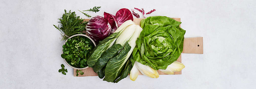 Slika svježih lisnatih salata